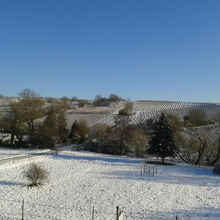 Apartamento Weingut Hans Bausch Hattenheim Exterior foto