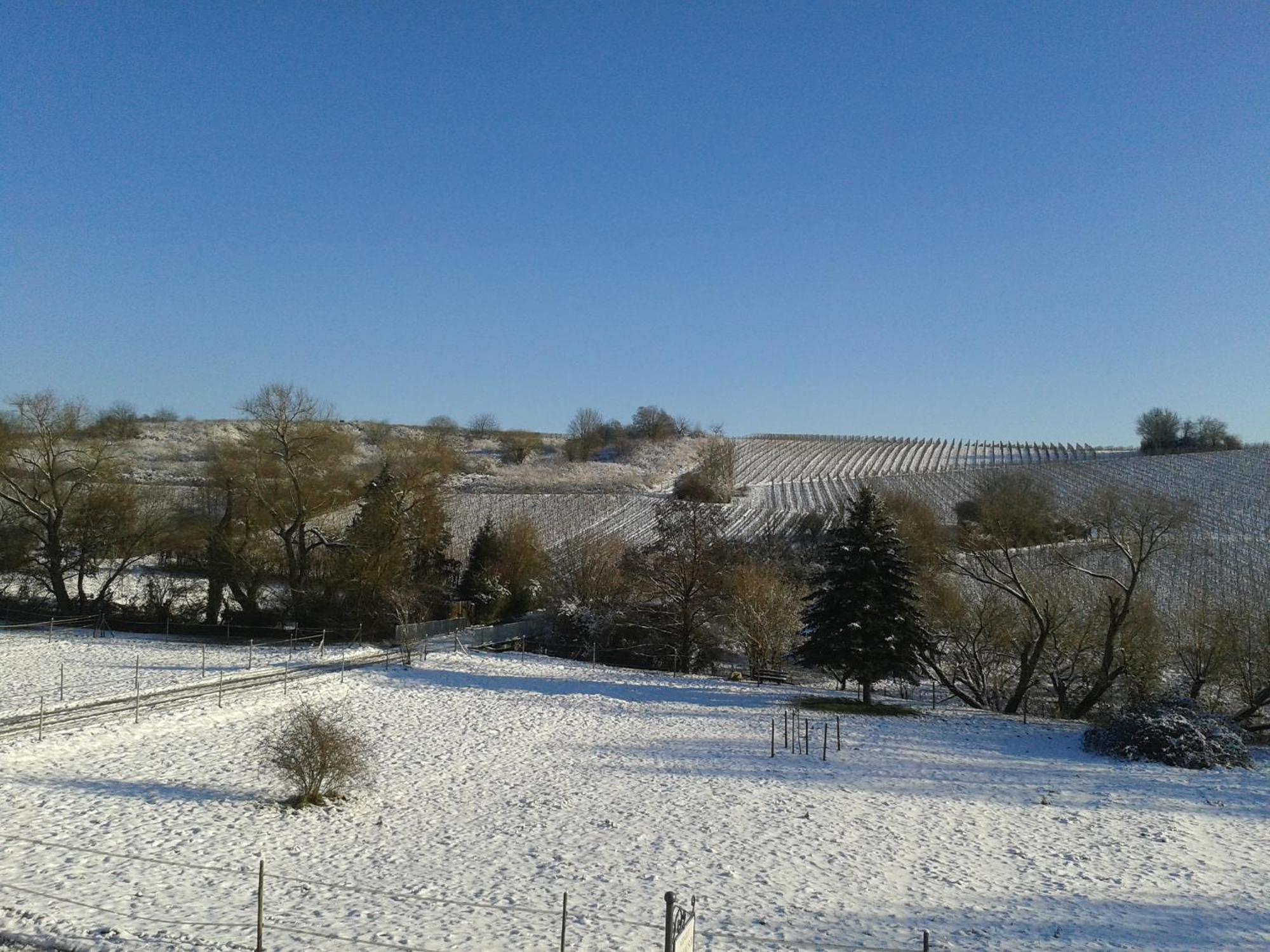 Apartamento Weingut Hans Bausch Hattenheim Exterior foto